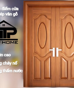 Cửa thép vân gỗ 2 cánh đều NS2H1