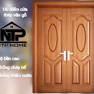 Cửa thép vân gỗ 2 cánh đều NS2H1