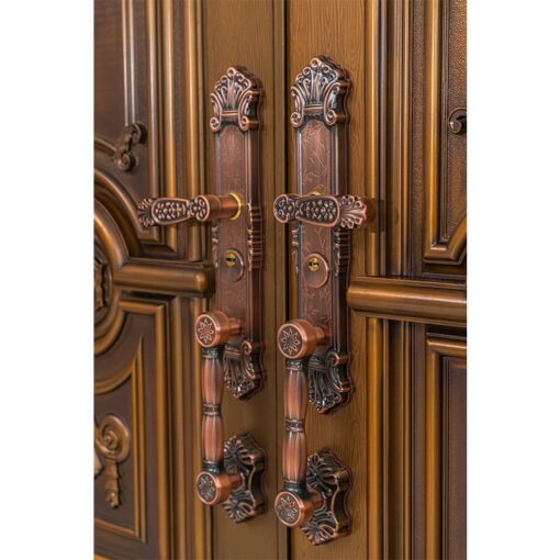 Cửa biệt thự 2 cánh cao cấp NSF2B